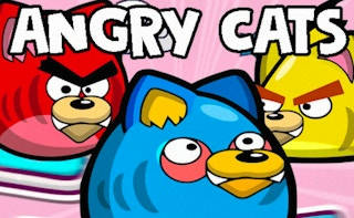 Play Angry Cats