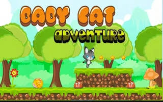 Play Baby Cat Adventure