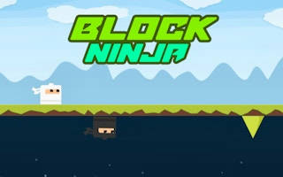 Play Block Ninja