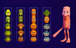 Play Brainrot Mind Puzzle Sort Challenge