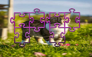 Play Cat Jigsaw Puzzle Frenzy