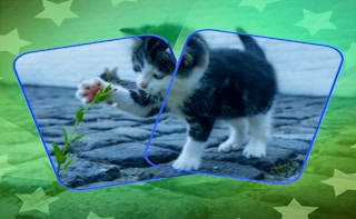 Play Cat Puzzle Memory Match