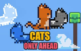 Play Cats Only Ahead
