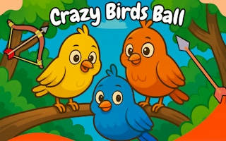 Play Crazy Birds Ball