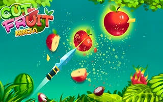 Play Cut Fruit Ninja