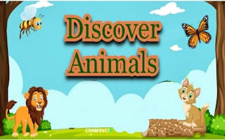 Play Discover Animals