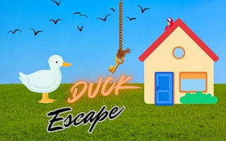 Play Duck Escape