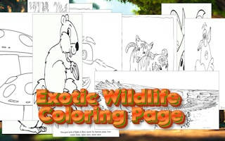 Play Exotic Wildlife Coloring Page