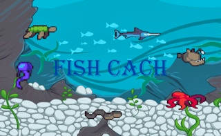 Play Fish Cach