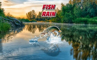 Play Fish Rain