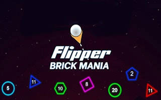 Play Flipper Brick Mania