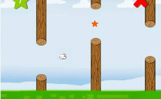 Play Fly Bird