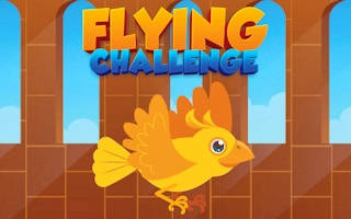 Play Flying Challenge