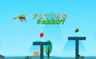 Play Flying Parrot