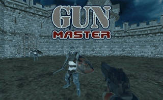 Play Gun Master 3D