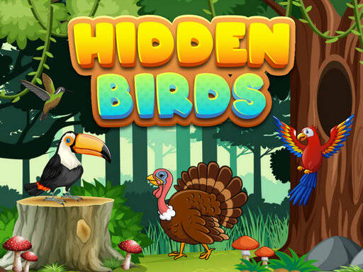 Play Hidden Birds