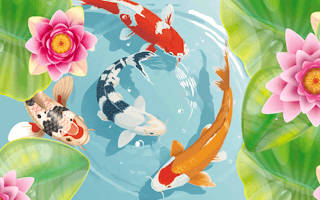Play Idle Koi Pond