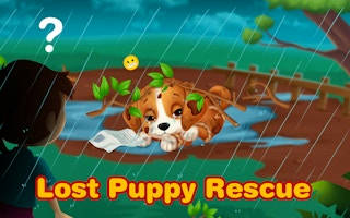 Play Lost Puppy Rescue and Care