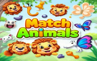 Play Match Animals