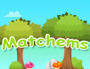 Play Matchems