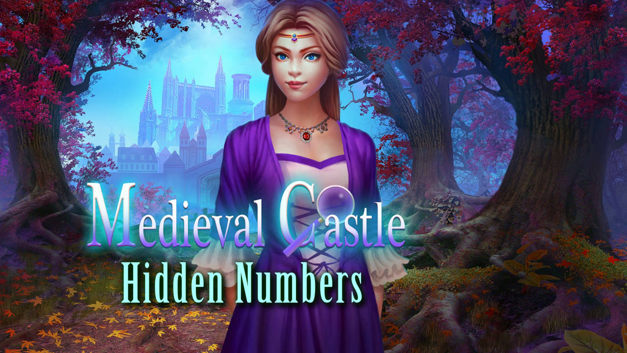 Play Medieval Castle Hidden Numbers