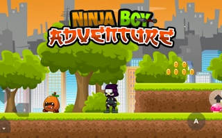 Play Ninja Boy Adventure