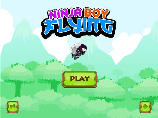 Play Ninja flying boy