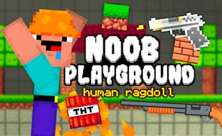 Play Noob Playground