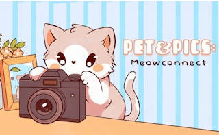 Play Pet&Pics Meowconnect