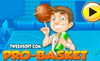 Play Pro Basket