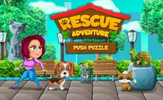 Play Push Puzzle Rescue Adventure