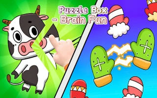 Play Puzzle Box Brain Fun