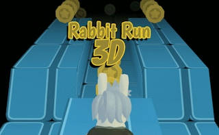 Play Rabbit Run 3D