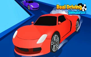 Play Real Driving Simulator