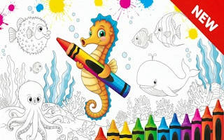 Play Sea Animal Coloring Book
