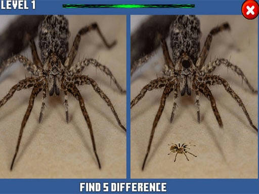 Play Spider Hidden Difference