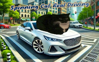 Play Spinning Cat Real Driving