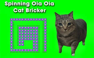 Play Spinning Oia Oia Cat Bricker