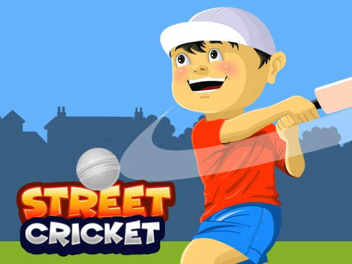 Play Street Cricket