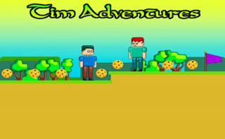 Play Tim Adventures