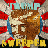 Play Trump Sweeper