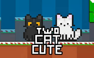 Play Two Cat Cute