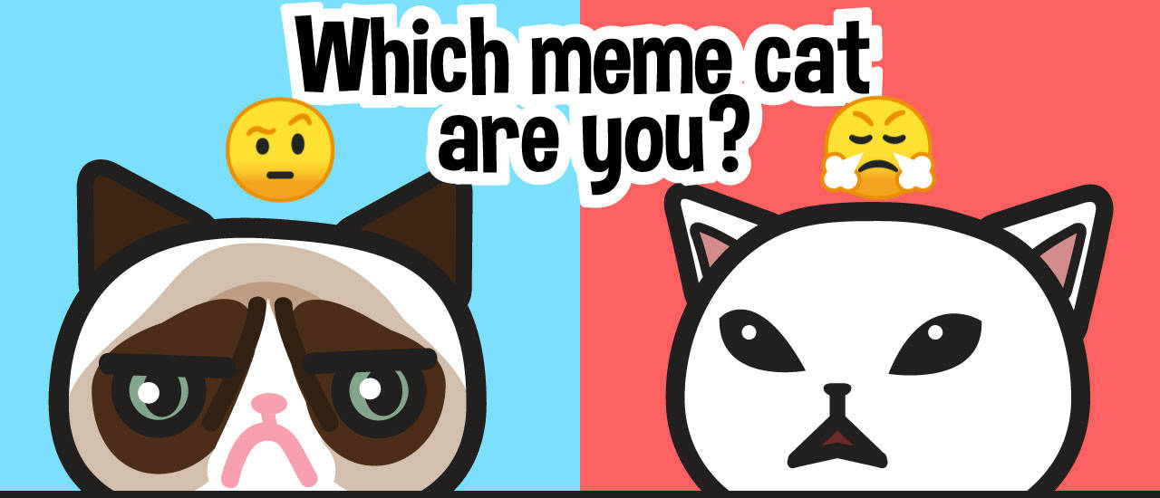 Play Which meme cat are you?