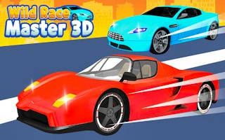 Play Wild Race Master 3D