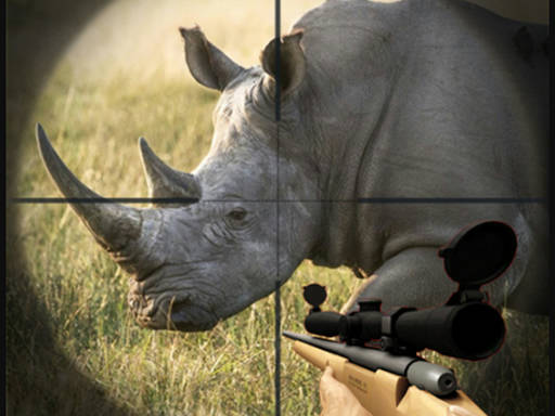 Play Wild Rhino Hunter