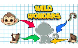 Play Wild Wonders
