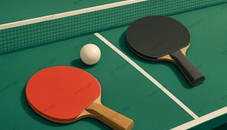 2D Ping Pong