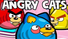 Angry Cats