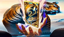 Animal Tiger Memory Match