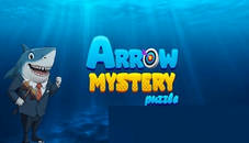 Arrow Mystery Puzzle